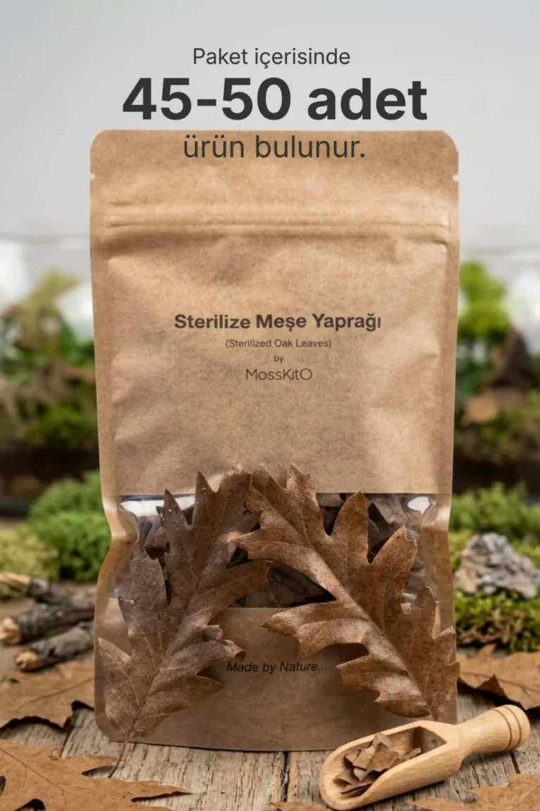 Sterilize Meşe Yaprağı (Yerli Catappa Alternatifi)
